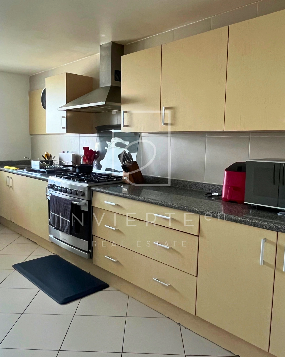 162 Ph Palmeras