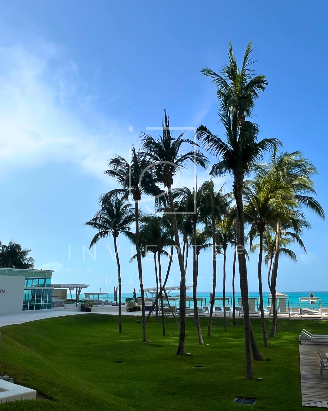 169 Ph Palmeras